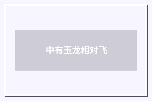 中有玉龙相对飞