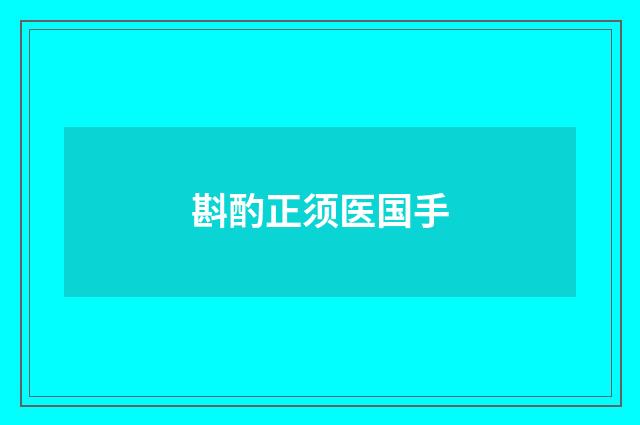 斟酌正须医国手