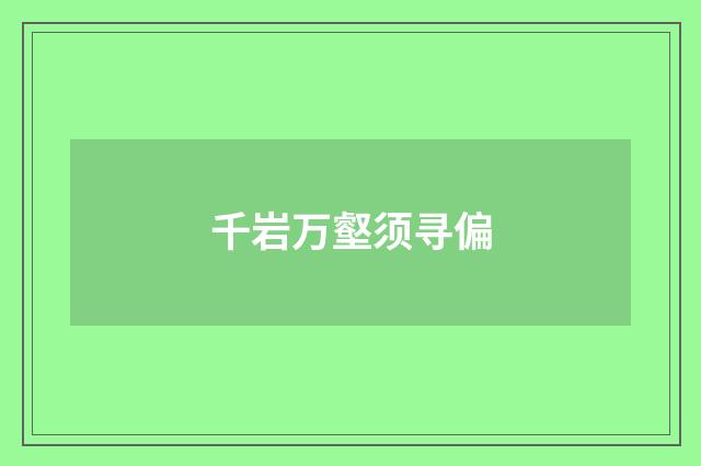 千岩万壑须寻偏