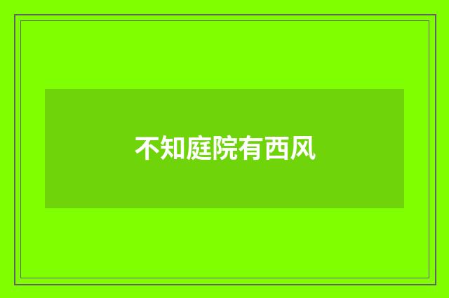 不知庭院有西风