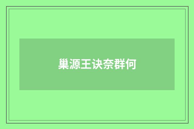 巢源王诀奈群何