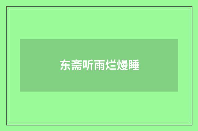 东斋听雨烂熳睡