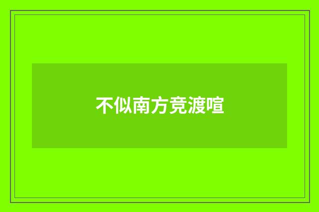 不似南方竞渡喧