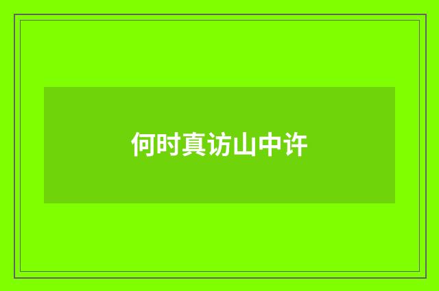 何时真访山中许