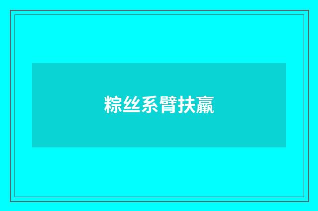 粽丝系臂扶羸