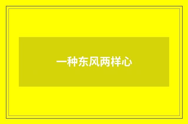 一种东风两样心