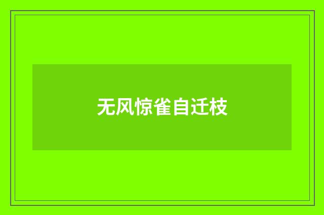 无风惊雀自迁枝