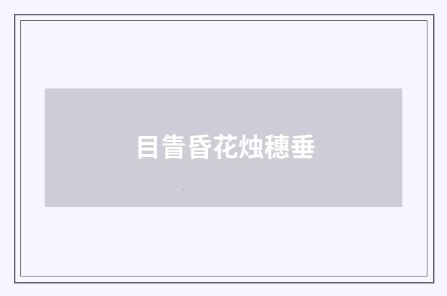 目眚昏花烛穗垂