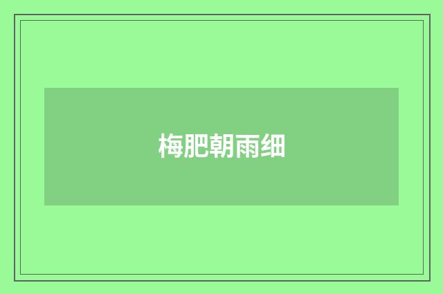 梅肥朝雨细