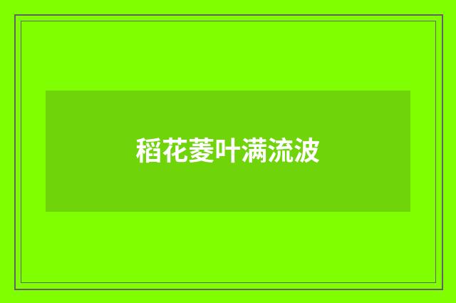 稻花菱叶满流波