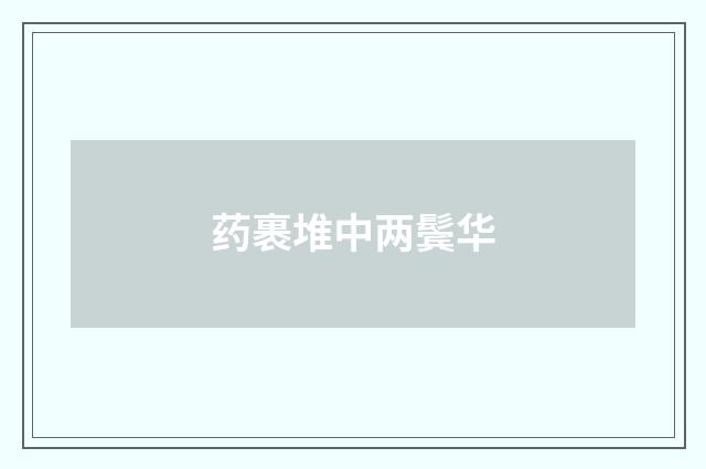 药裹堆中两鬓华