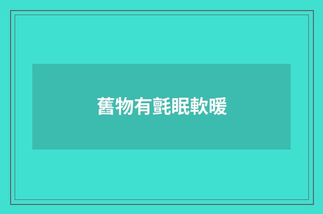 舊物有氈眠軟暖