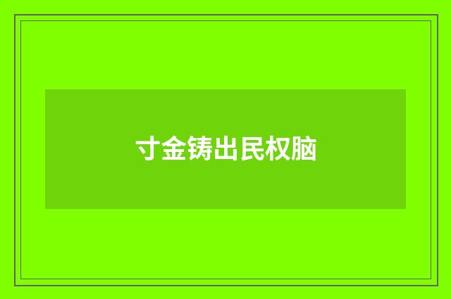 寸金铸出民权脑