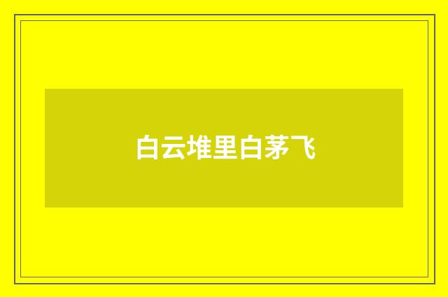 白云堆里白茅飞
