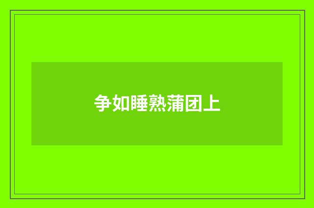 争如睡熟蒲团上