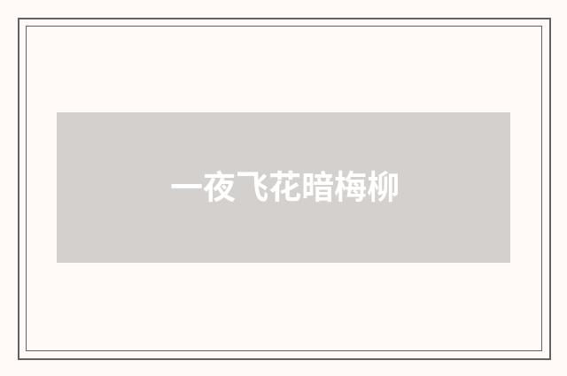 一夜飞花暗梅柳