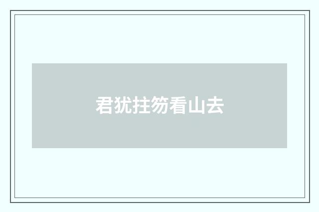 君犹拄笏看山去