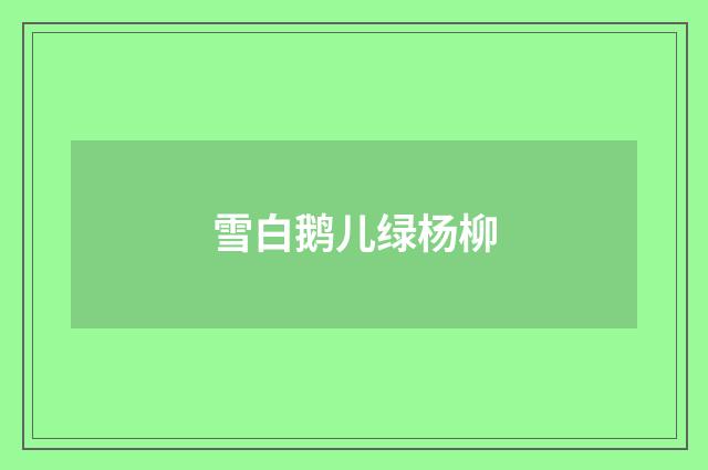 雪白鹅儿绿杨柳