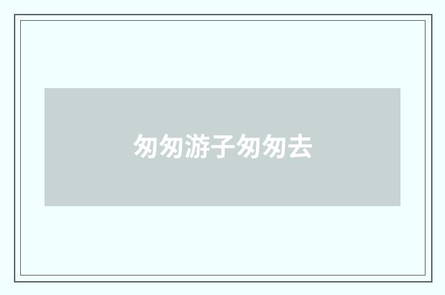 匆匆游子匆匆去
