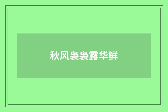 秋风袅袅露华鲜