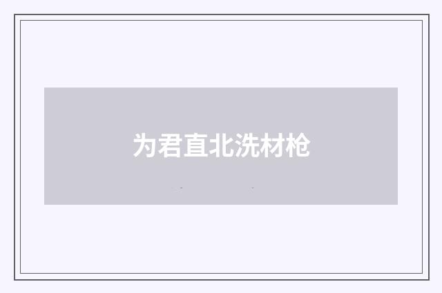 为君直北洗材枪