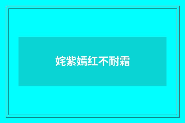 姹紫嫣红不耐霜