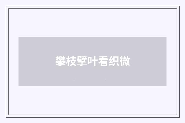 攀枝擘叶看织微
