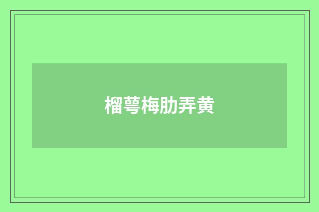 榴萼梅肋弄黄