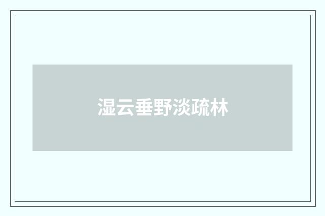 湿云垂野淡疏林