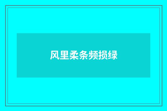 风里柔条频损绿