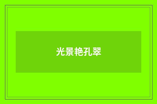 光景艳孔翠