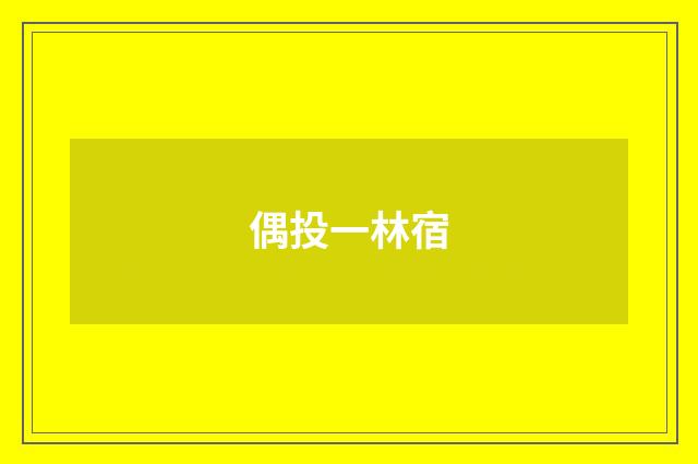 偶投一林宿