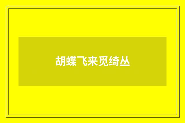 胡蝶飞来觅绮丛