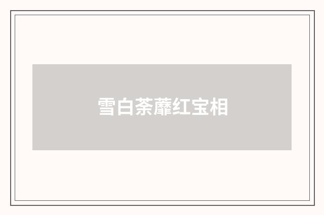 雪白荼蘼红宝相