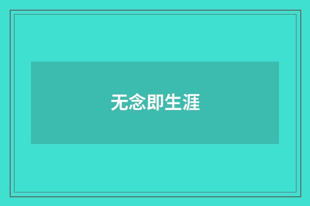 无念即生涯