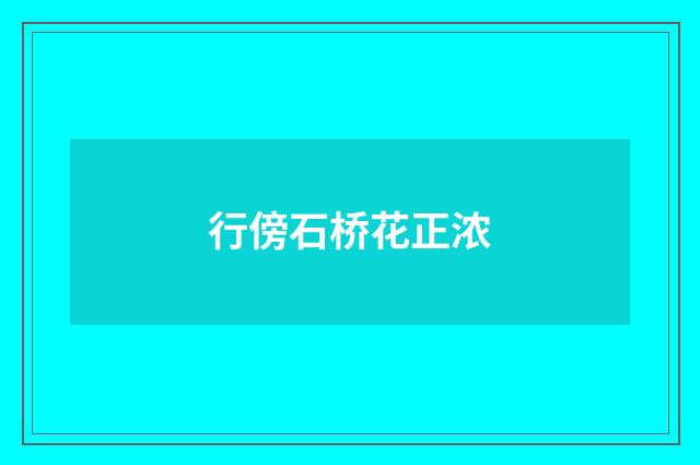 行傍石桥花正浓