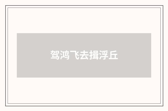 驾鸿飞去揖浮丘