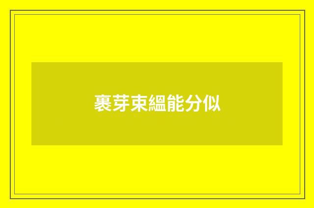 裹芽束縕能分似