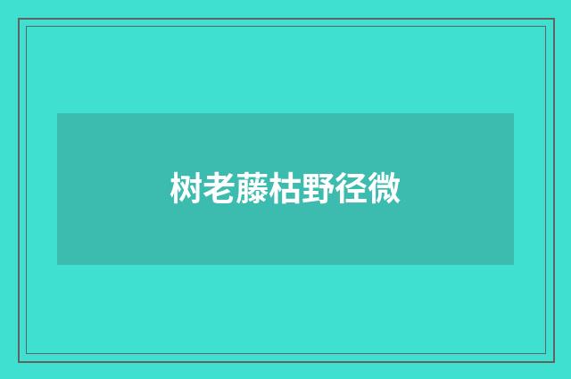 树老藤枯野径微