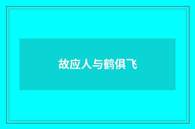 故应人与鹤俱飞