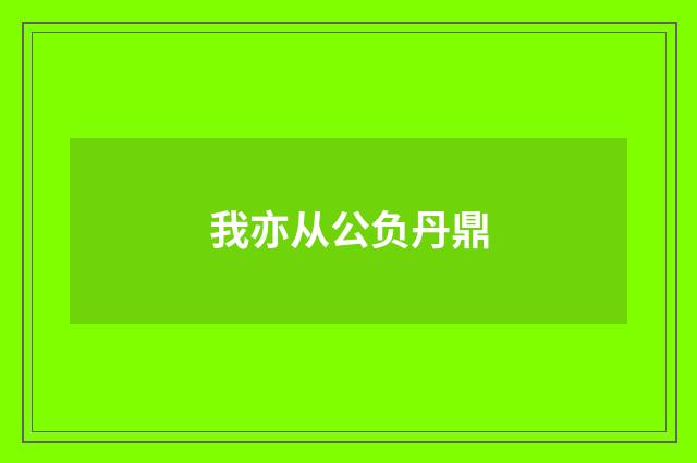 我亦从公负丹鼎