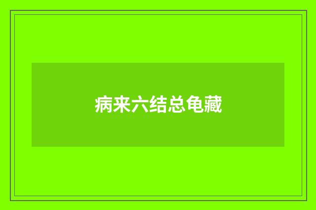 病来六结总龟藏