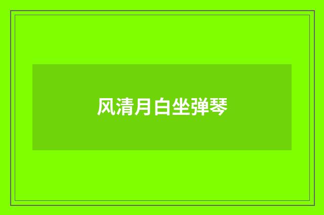 风清月白坐弹琴