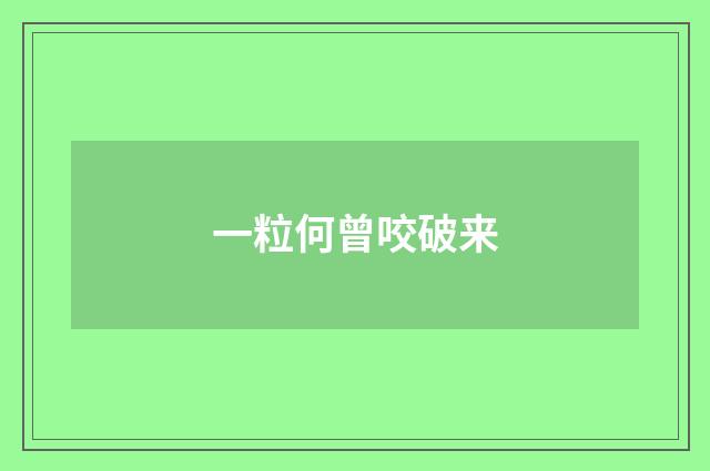 一粒何曾咬破来
