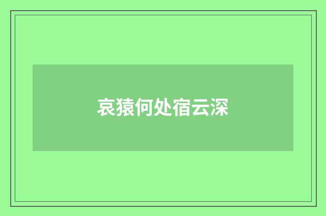 哀猿何处宿云深