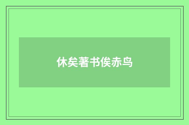 休矣著书俟赤鸟