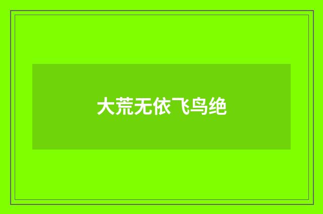 大荒无依飞鸟绝