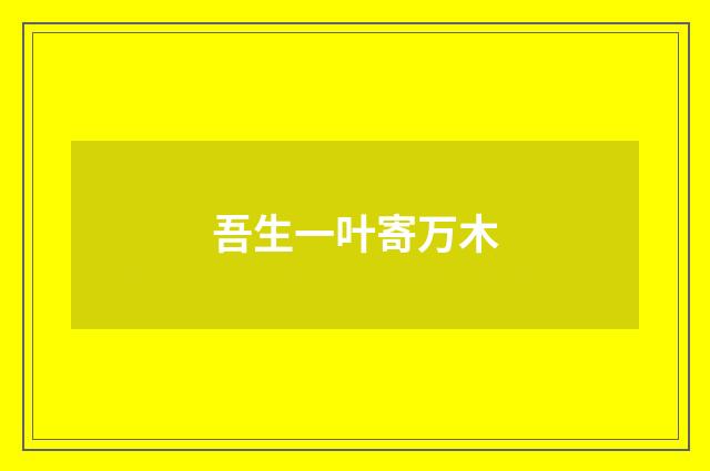 吾生一叶寄万木