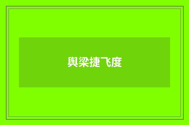 舆梁捷飞度