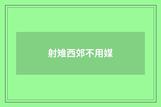 射雉西郊不用媒